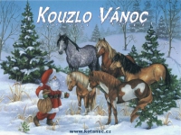 002 Kouzlo Vánoc