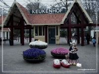 Keukenhof - C.Vonck