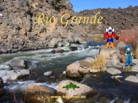 008 Rio Grande